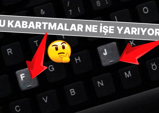 Her Gün Gördüğümüz Ama Hiç Fark Etmediğimiz O Küçük Kabartmalar Ne İşe Yarıyor?